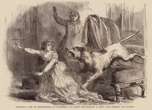 Vreselijk geval van watervrees in Saratoga, een grote hond valt een dame aan die net gekleed is voor het diner door English School