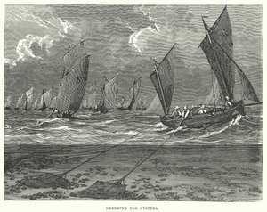 Baggeren naar oesters (gravure) door English School
