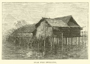 Dyak Paalwoning door English School