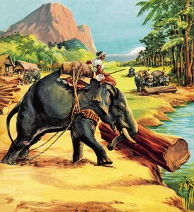 Olifant. Illustratie uit Elephant Bill door Liuet. Kol. J. H. Williams