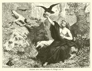 Elia en de Raven, I Koningen, xvii, 6 (gravure) door English School