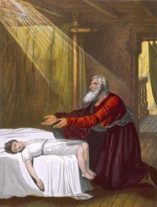 Elia en de zoon van de weduwe