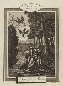 Elia gevoed door raven, I Koningen, Hoofdstuk XVII, Vers 6