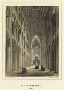 Ely Kathedraal, schip door English School