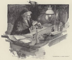Onderzoek van een enorme mot (gravure)