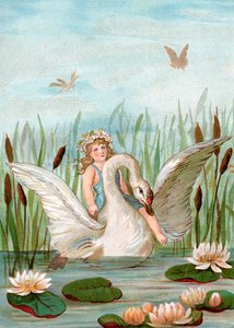Fee Rijdt op een Witte Zwaan Tussen Lisdodden en Waterlelies door English School