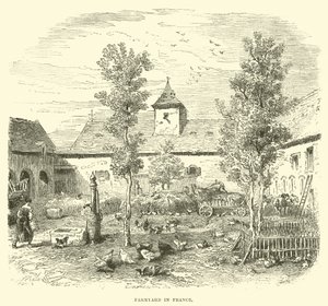 Boerenerf in Frankrijk