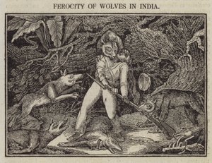 Wreedheid van Wolven in India door English School