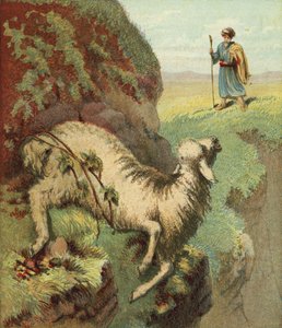 Het vinden van het schaap