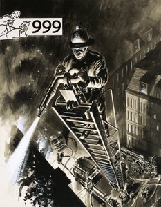 Brandweerman op ladder