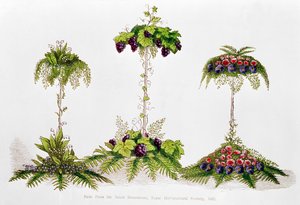 Eerste prijs voor tafeldecoratie, Royal Horticultural Society, 1851