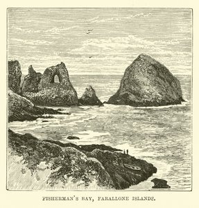 Vissersbaai, Farallone-eilanden door English School