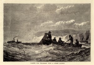 Vissen op pelserijen met een stoomboot (gravure) door English School
