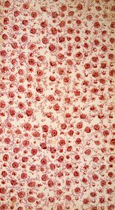 Floraal schutblad handgekleurde gravure