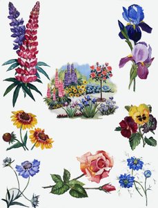 Bloemen door English School