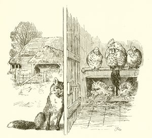 Vos buiten het kippenhok