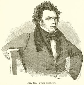 Franz Schubert door English School