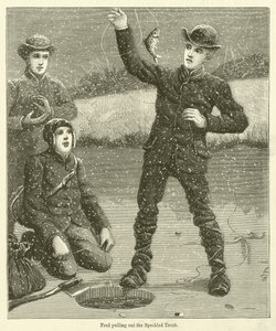 Fred haalt de gestreepte forel tevoorschijn (gravure)