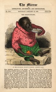 Voorpagina van The Mirror van 13 januari 1838 ter viering van de aankomst van een Orang-oetan in de Zoological Society