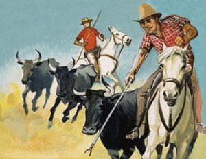 Gardians van de Camargue
