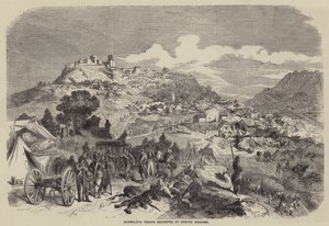 Garibaldi