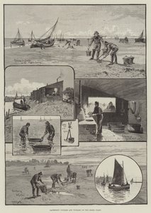 Kokkels en alikruiken verzamelen aan de kust van Essex door English School