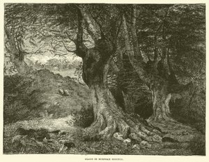 Glade in Burnham Beeches (gravure) door English School