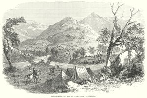 Goudvelden van Mount Alexander, Australië (gravure) door English School