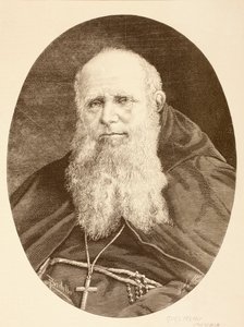 Guglielmo Massaia (litho) door English School