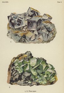 Halogeniden, fluoriet