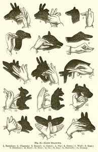 Handschaduwen