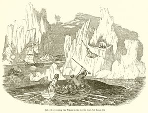 Harpoeneren van de Walvis in de Arctische Zeeën, voor Lampolie