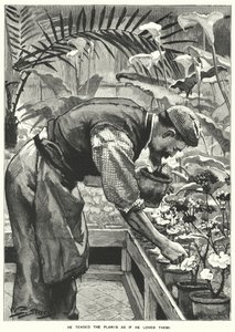 Hij verzorgde de planten alsof hij ervan hield! (gravure) door English School