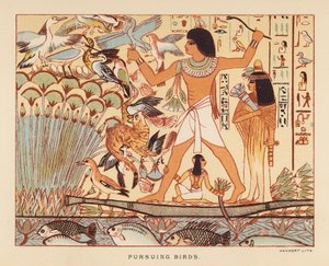 Herodotus: Vogels achterna door English School