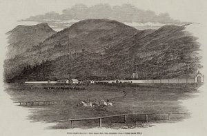 Hong-Kong races, de race voor de Plenipo Cup (gravure)