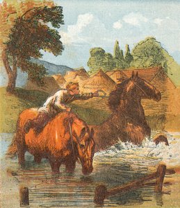 Paarden drinken in een vijver door English School
