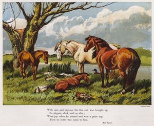 Paarden met een jong veulen aan de oever van een rivier (gekleurde gravure)