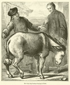 Hoe ze in China het gebrul van ezels stoppen (gravure)