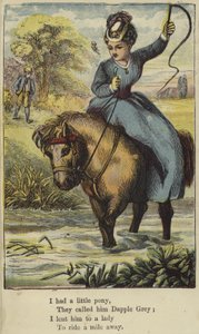 Ik had een klein pony