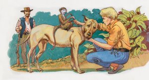 Illustratie voor Swiss Family Robinson door English School