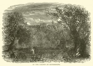 In de Hof van Getsemane