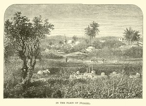 In de Vlakte van Jizreël