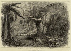 In het staatsbos bij Dandenong, Victoria (gravure) door English School