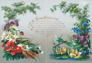 Insecten en Bloemen, Kerstkaart