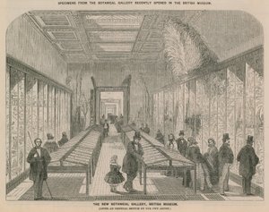 Interieur van de nieuwe Botanische Galerij