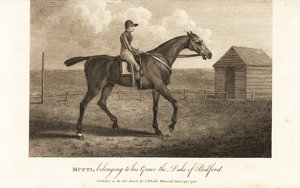 Jockey op de beroemde volbloed racer Mufti, behorend tot zijn genade de hertog van Bedford door English School