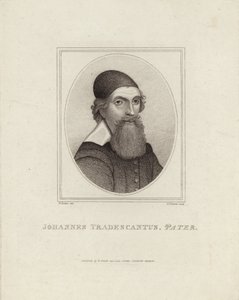 Johannes Tradescantus Pater door English School