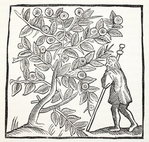 Jozef van Arimathea en de Glastonbury Doorn, illustratie uit Chap-books of the Eighteenth Century door John Ashton, gepubliceerd 1882 door English School