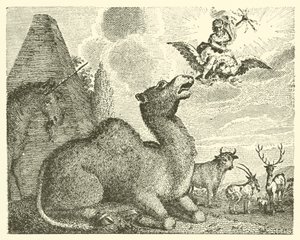 Jupiter en de kameel (gravure)