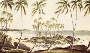 Kosgoda Strand, Ceylon, c.1835